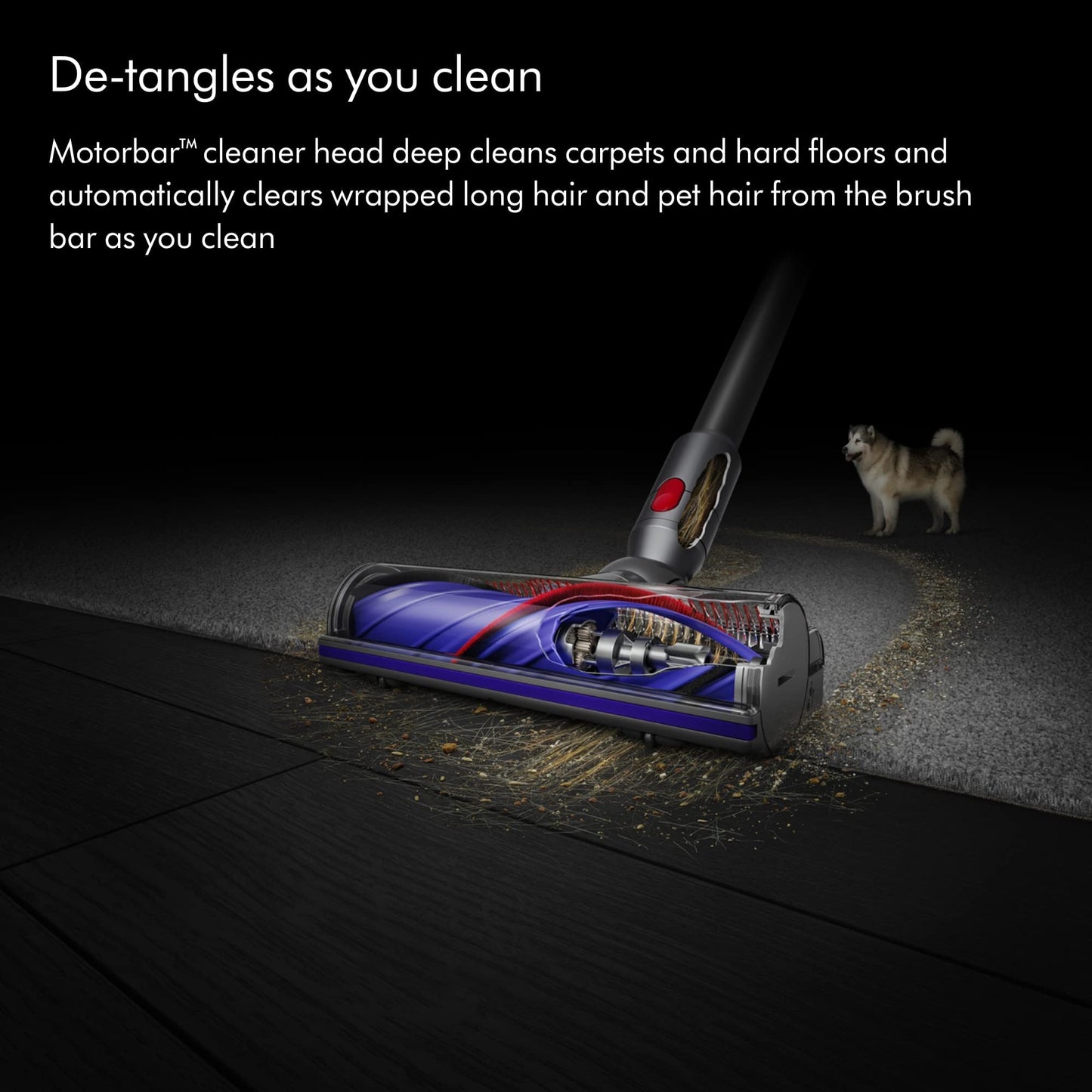 Dyson V8 Plus Cordless Vacuum, Silver/Nickel